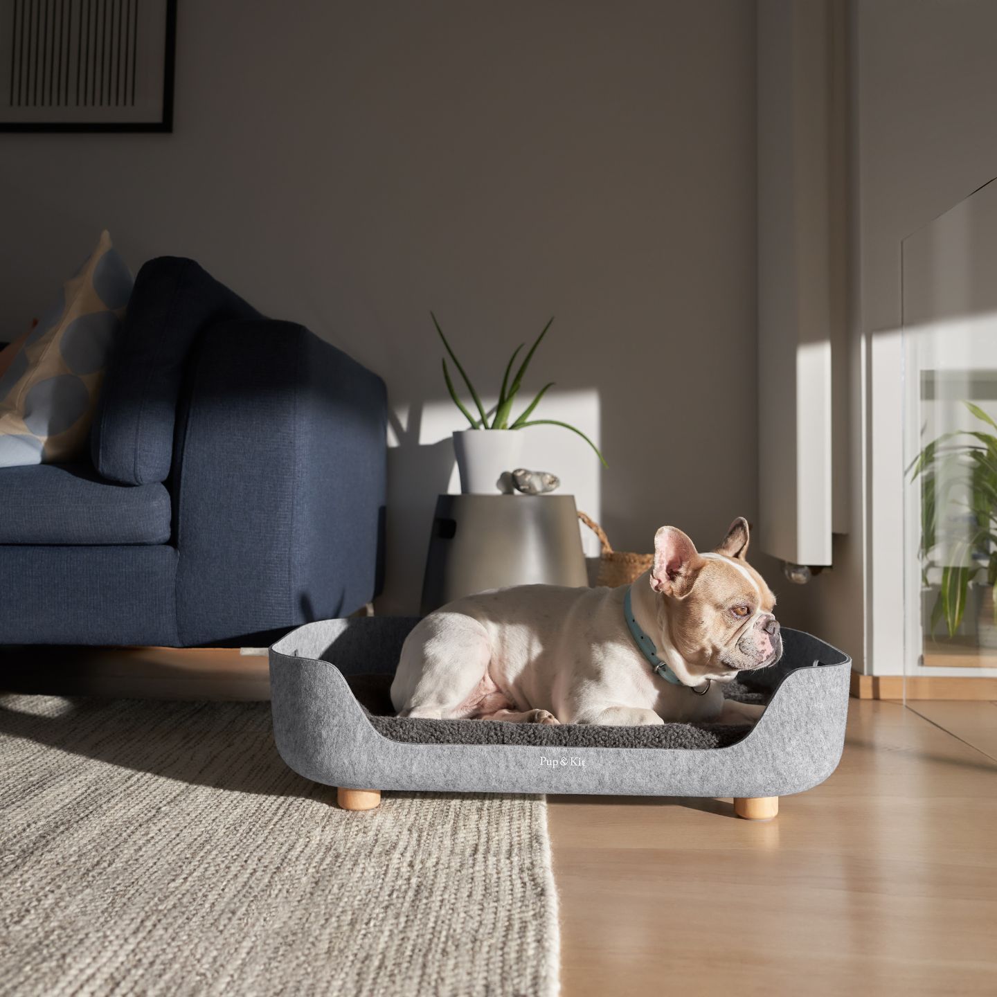 Pet bed design hotsell